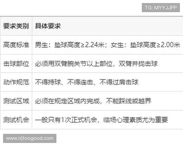 排球规则详解：从发球到得分一网打尽